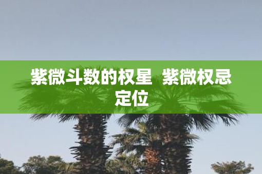 紫微斗数的权星  紫微权忌定位
