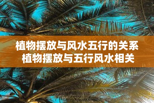 植物摆放与风水五行的关系 植物摆放与五行风水相关吗