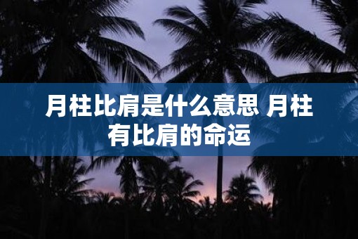 月柱比肩是什么意思 月柱有比肩的命运