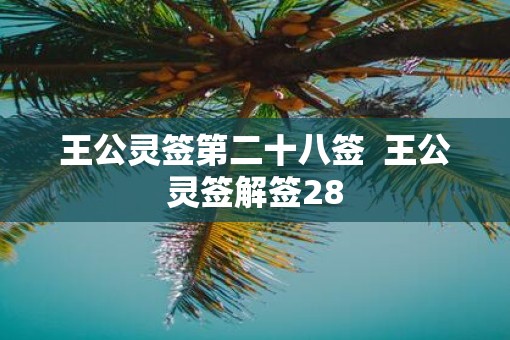 王公灵签第二十八签  王公灵签解签28