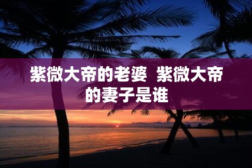 紫微大帝的老婆  紫微大帝的妻子是谁