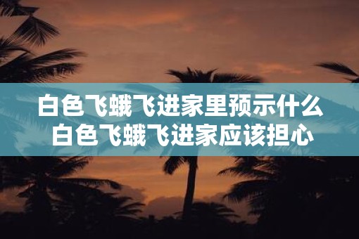 白色飞蛾飞进家里预示什么 白色飞蛾飞进家应该担心吗