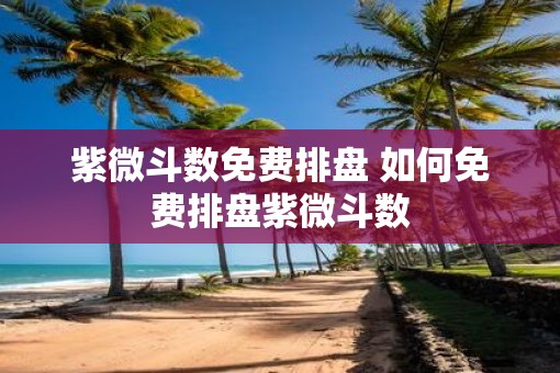 紫微斗数免费排盘 如何免费排盘紫微斗数