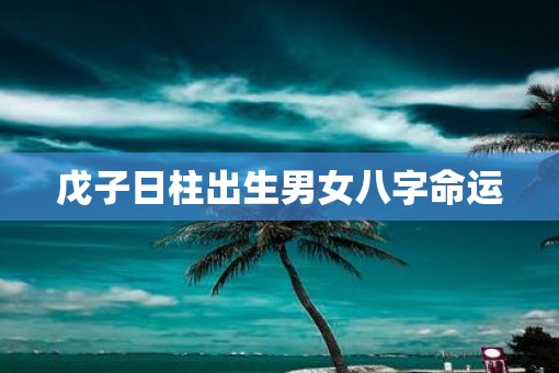 戊子日柱出生男女八字命运