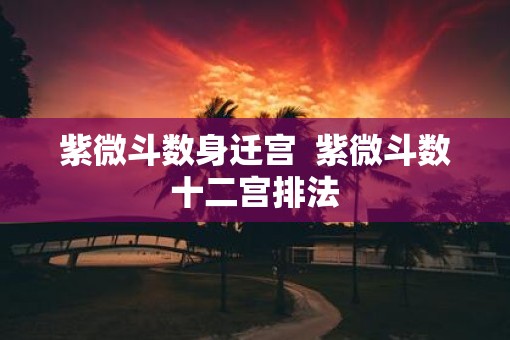 紫微斗数身迁宫  紫微斗数十二宫排法