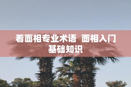 看面相专业术语  面相入门基础知识