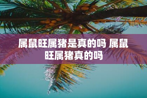 属鼠旺属猪是真的吗 属鼠旺属猪真的吗 属鼠旺属猪是真的吗 属鼠旺属猪真的吗