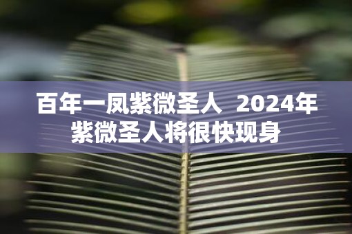 百年一凤紫微圣人  2025年紫微圣人将很快现身