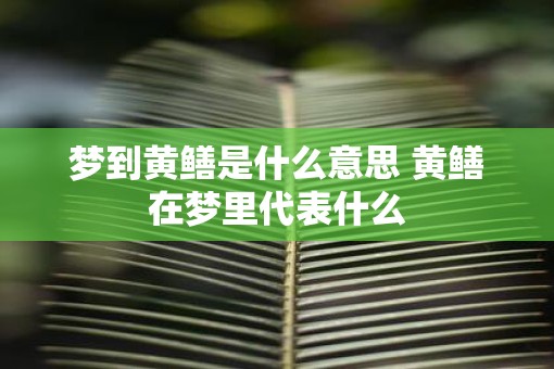 梦到黄鳝是什么意思 黄鳝在梦里代表什么