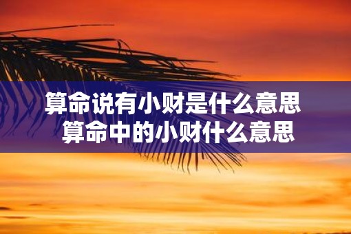 算命说有小财是什么意思  算命中的小财什么意思