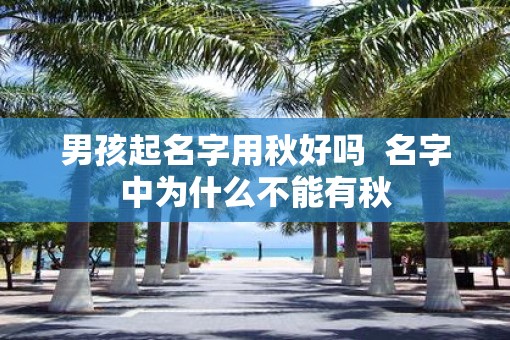 男孩起名字用秋好吗  名字中为什么不能有秋