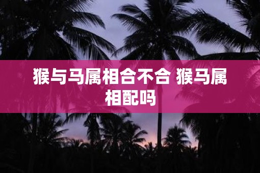 猴与马属相合不合 猴马属相配吗
