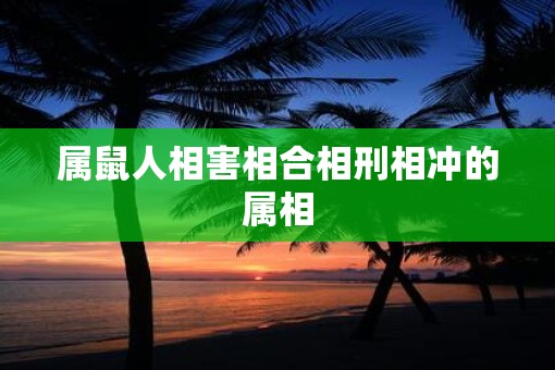 属鼠人相害相合相刑相冲的属相