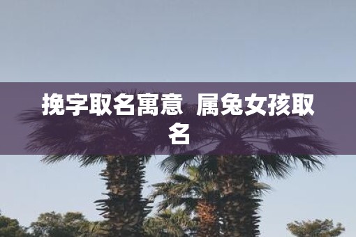 挽字取名寓意  属兔女孩取名