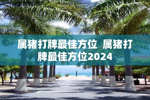 属猪打牌最佳方位  属猪打牌最佳方位2025
