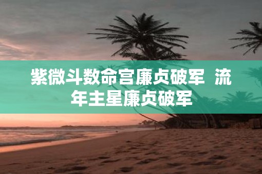 紫微斗数命宫廉贞破军  流年主星廉贞破军