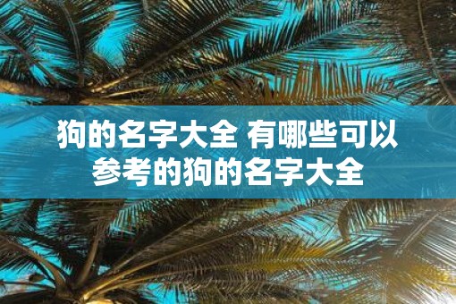 狗的名字大全 有哪些可以参考的狗的名字大全