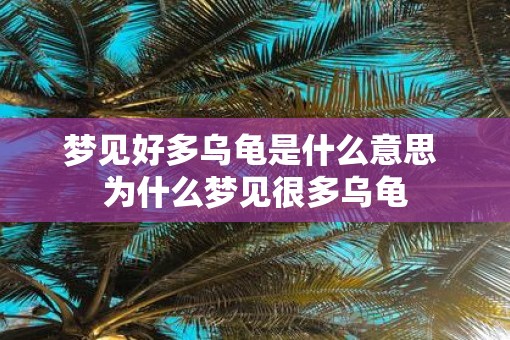 梦见好多乌龟是什么意思 为什么梦见很多乌龟