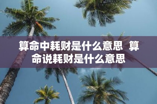 算命中耗财是什么意思  算命说耗财是什么意思