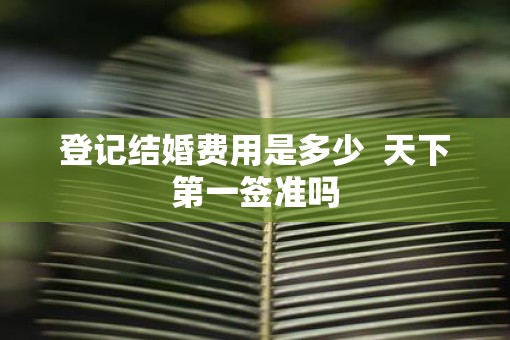 登记结婚费用是多少  天下第一签准吗
