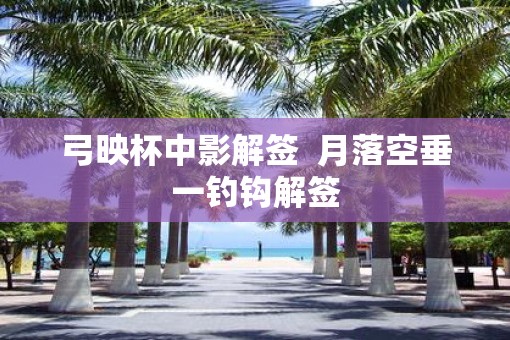 弓映杯中影解签  月落空垂一钓钩解签