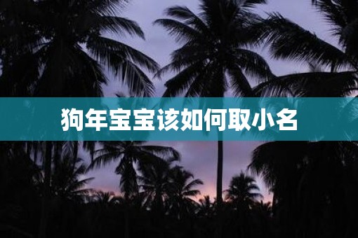 狗年宝宝该如何取小名