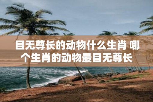 目无尊长的动物什么生肖 哪个生肖的动物最目无尊长