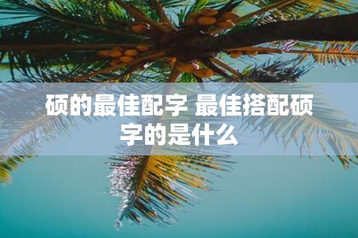 硕的最佳配字 最佳搭配硕字的是什么