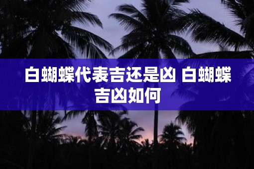 白蝴蝶代表吉还是凶 白蝴蝶吉凶如何