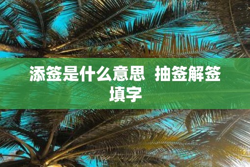 添签是什么意思  抽签解签填字