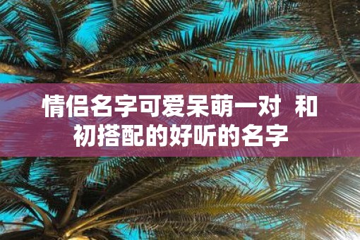 情侣名字可爱呆萌一对  和初搭配的好听的名字