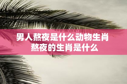 男人熬夜是什么动物生肖  熬夜的生肖是什么