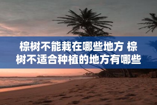 棕树不能栽在哪些地方 棕树不适合种植的地方有哪些