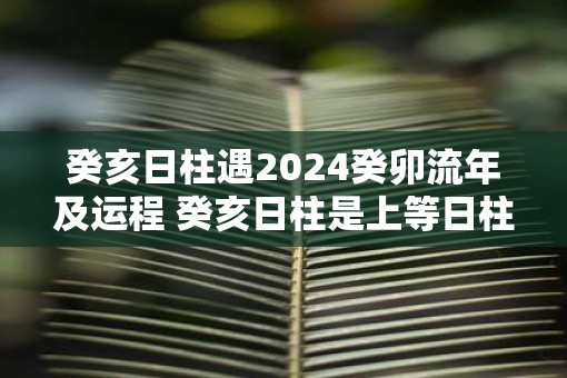 癸亥日柱遇2025癸卯流年及运程 癸亥日柱是上等日柱吗