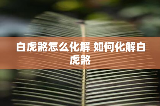 白虎煞怎么化解 如何化解白虎煞