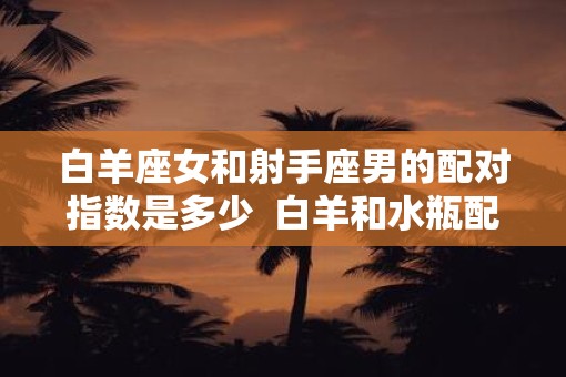 白羊座女和射手座男的配对指数是多少  白羊和水瓶配对