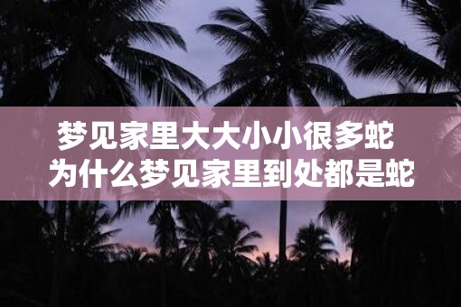 梦见家里大大小小很多蛇 为什么梦见家里到处都是蛇
