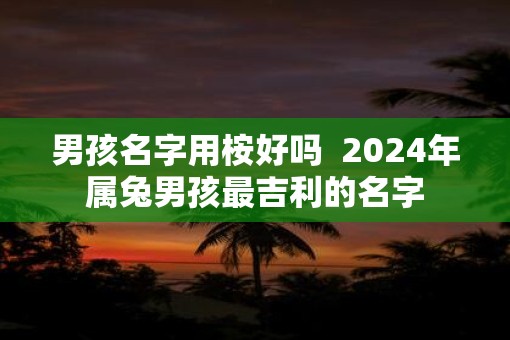 男孩名字用桉好吗  2025年属兔男孩最吉利的名字