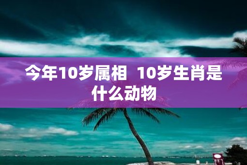 今年10岁属相  10岁生肖是什么动物
