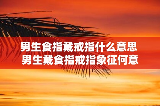 男生食指戴戒指什么意思 男生戴食指戒指象征何意
