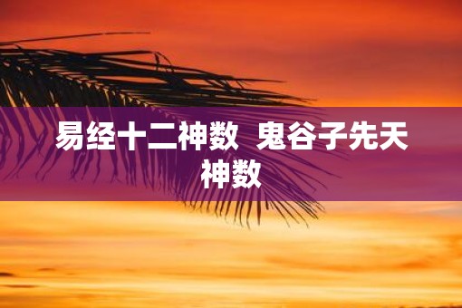 易经十二神数  鬼谷子先天神数