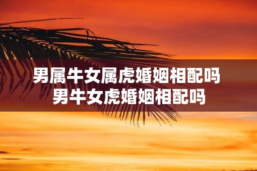 男属牛女属虎婚姻相配吗 男牛女虎婚姻相配吗