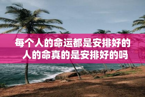 每个人的命运都是安排好的  人的命真的是安排好的吗
