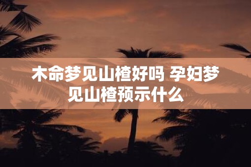 木命梦见山楂好吗 孕妇梦见山楂预示什么 木命梦见山楂好吗 孕妇梦见山楂预示什么