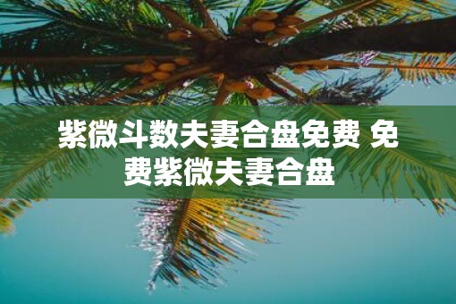 紫微斗数夫妻合盘免费 免费紫微夫妻合盘
