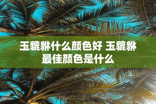 玉貔貅什么颜色好 玉貔貅最佳颜色是什么