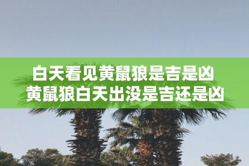 白天看见黄鼠狼是吉是凶 黄鼠狼白天出没是吉还是凶