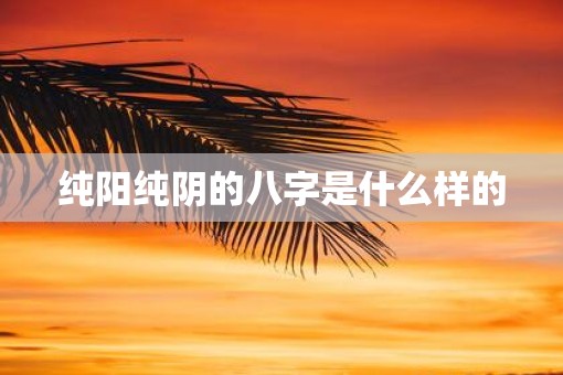 纯阳纯阴的八字是什么样的