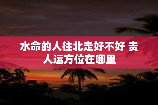 水命的人往北走好不好 贵人运方位在哪里