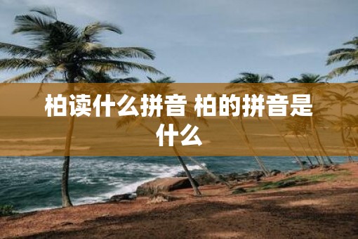 柏读什么拼音 柏的拼音是什么